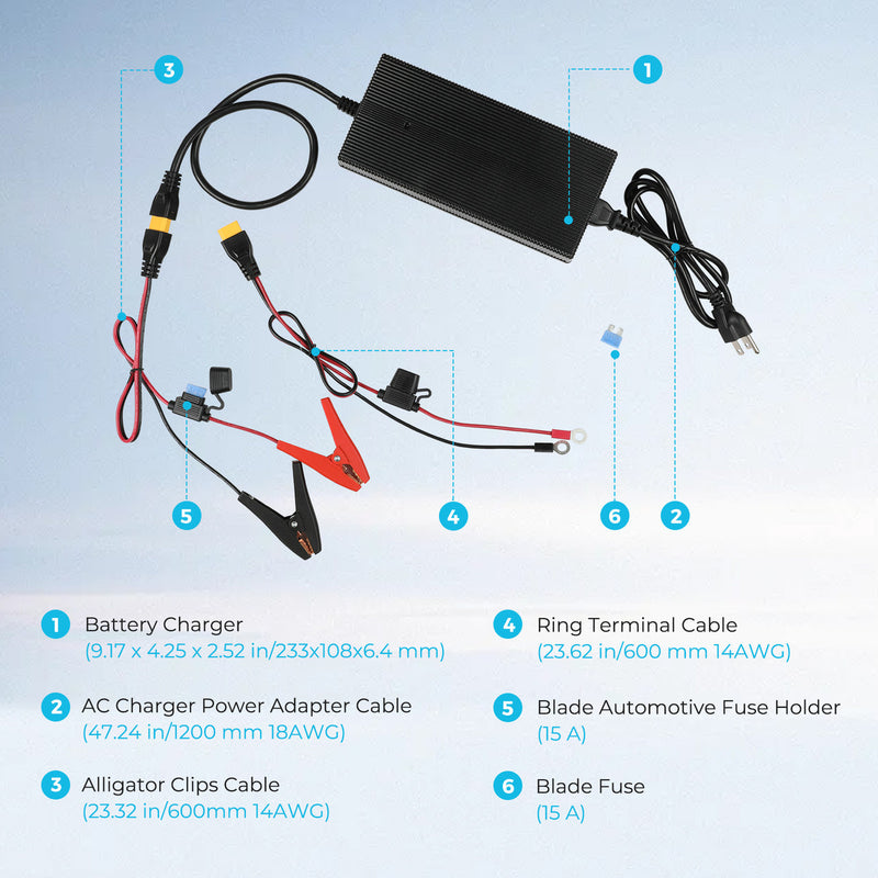 Renogy 24V 10 AC to DC Lithium battery charger