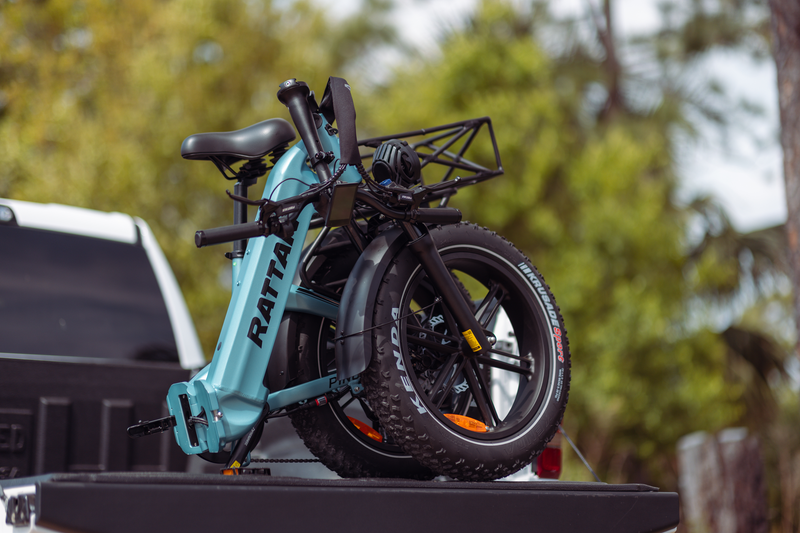 Rattan Pinus e-bike