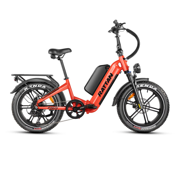 Rattan Pinus e-bike