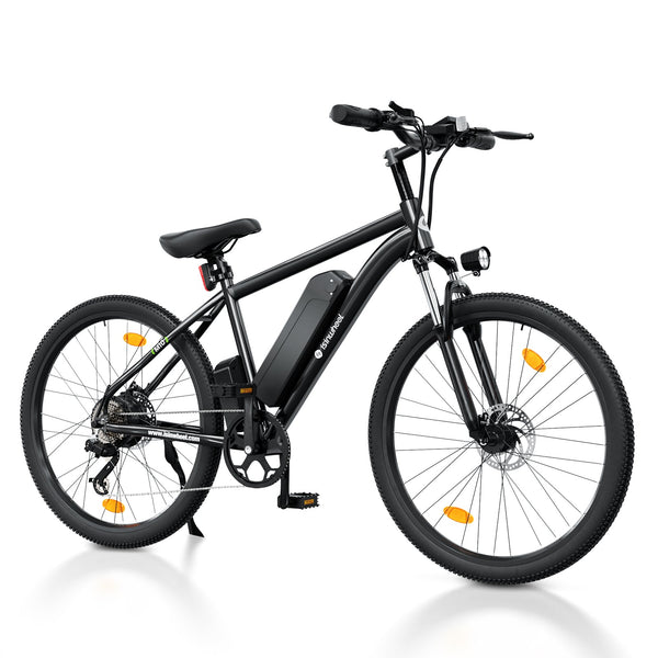 isinwheel M10 Plus Electric Bike for Adults