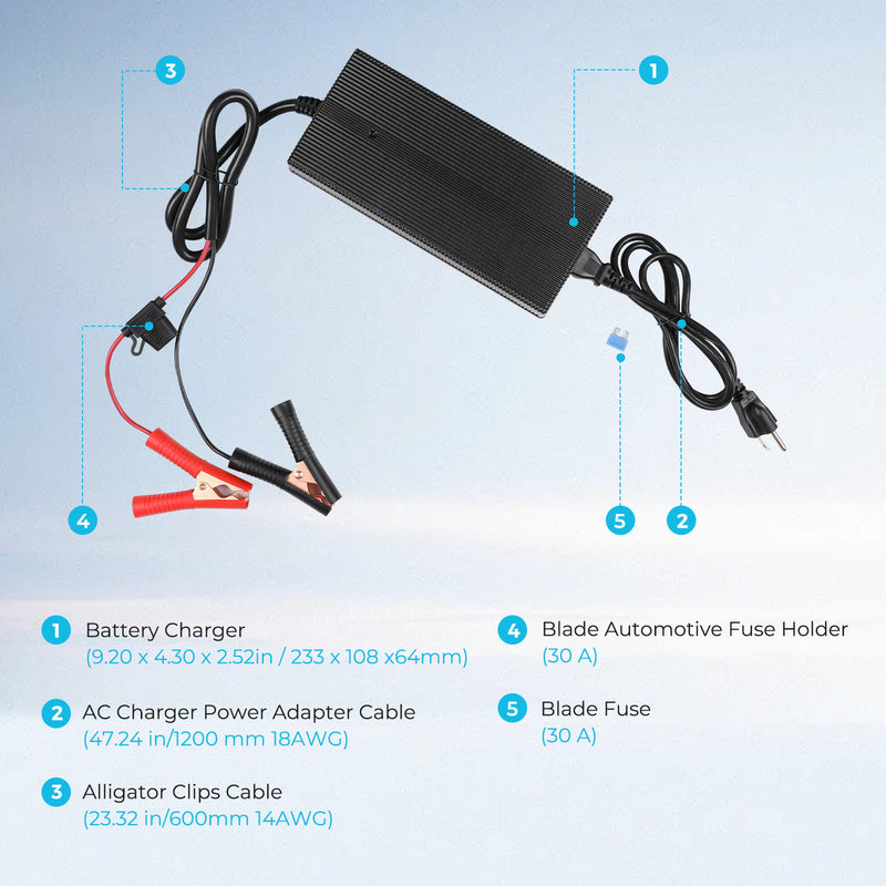 Renogy 20A AC-DC Battery Charger (G2 Version)