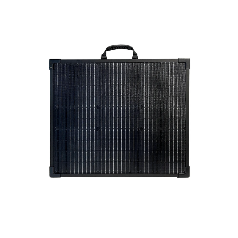 Panel solar de 100 W y 24 V de Lion Energy 