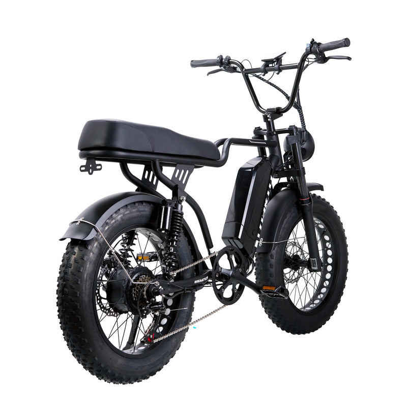 NAKTO Fat Tire Ebike F2 750W