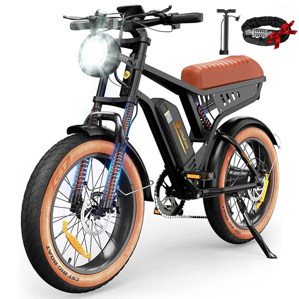 Isinwheel R6 Retro Electric Bike for Adults