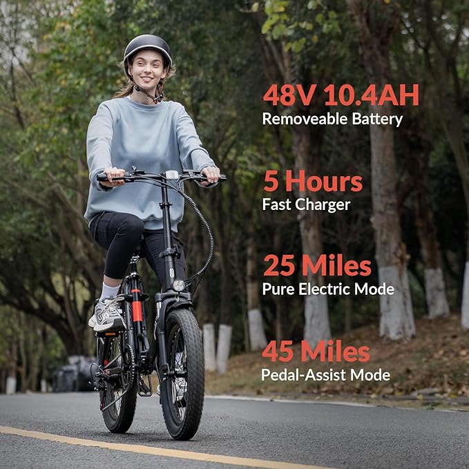 Invanti Tide 2 Fat Tire Electric Bike Wellbots Free Shipping