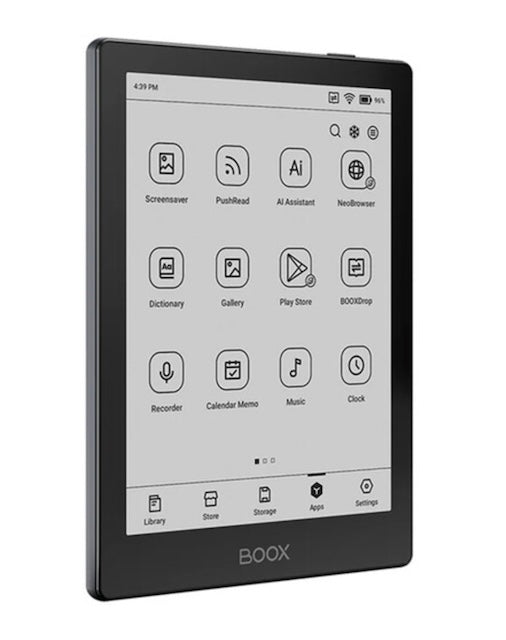 Boox Go 6 E-Ink Tablet / Wellbots