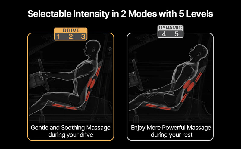 Laxon Air Massage Vehicle Seat