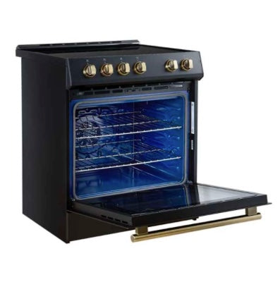 Forno Leonardo Espresso 30-Inch Slide-In Black Induction Range / Wellbots