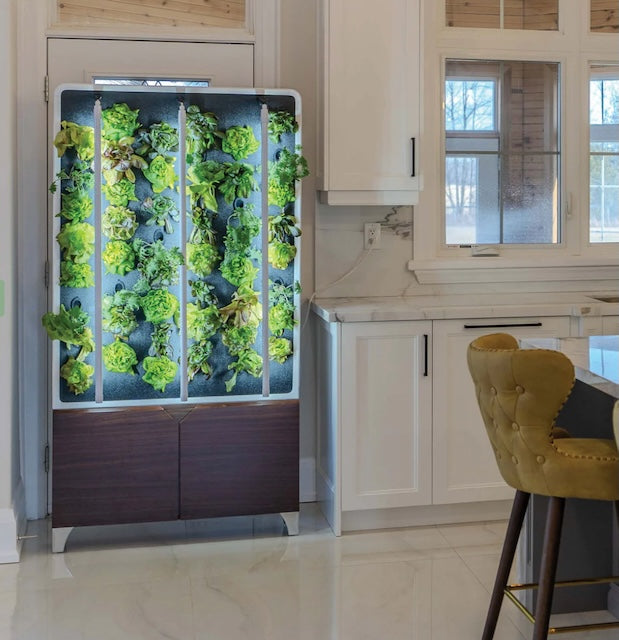 Just Vertical Eco Living Green Wall / Wellbots