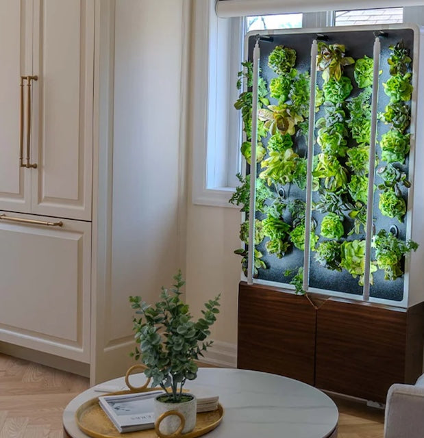 Just Vertical Eco Living Green Wall / Wellbots