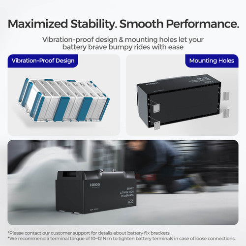 RENOGY (12.8V 200Ah pro series) smart lithium batteries with BT and self-heating function