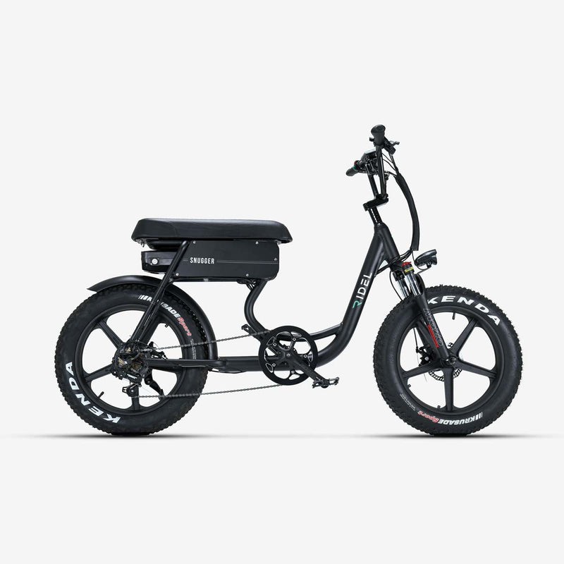 Ridel Two Seater Electric Bike Snugger 48v 750W