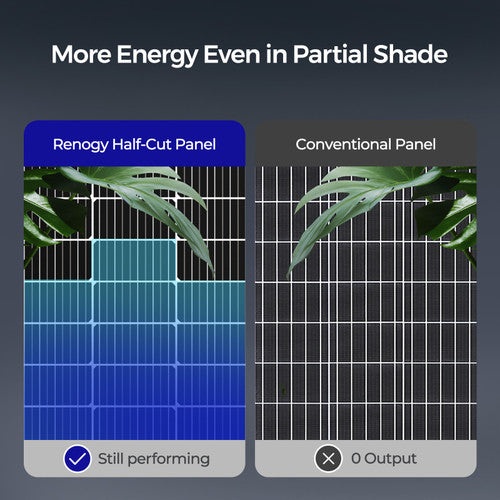 Renogy 115W Double-sided transparent backsheet solar panel