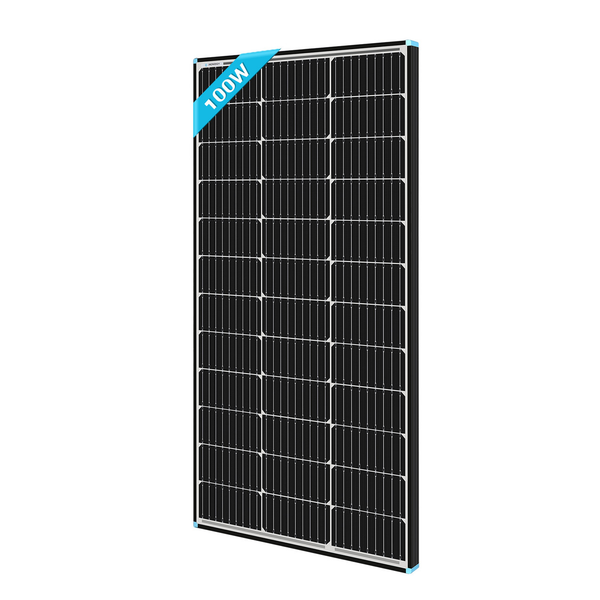 Panel solar monocristalino Renogy de 100 vatios y 12 voltios