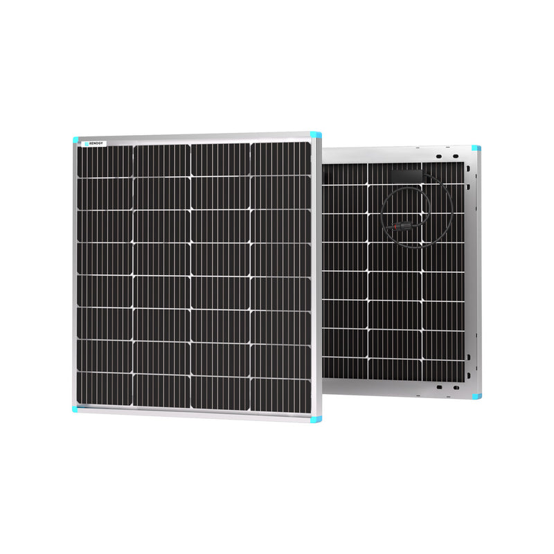 Renogy 115W Double-sided transparent backsheet solar panel