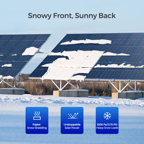 Renogy 220W Double-sided transparent backsheet solar panel