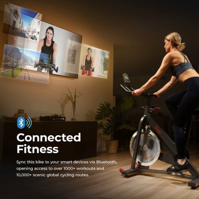 Sunny indoor spin bike online