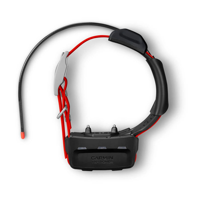 Collar GPS Garmin TT15X