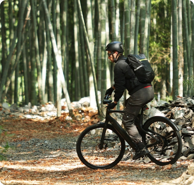 Bicicleta eléctrica Urtopia Carbon 1 Pro de dos ruedas