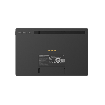 EcoFlow DELTA Pro 3 Portable Power Station + PowerInsight Home Energy Manager