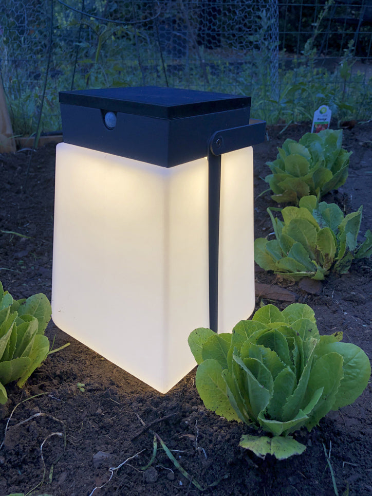 Les Jardins Bump Solar Lantern