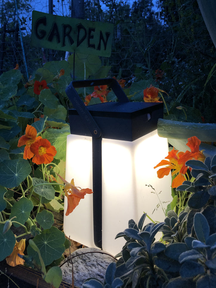 Les Jardins Bump Solar Lantern