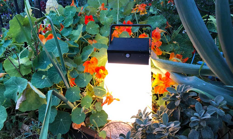 Les Jardins Bump Solar Lantern