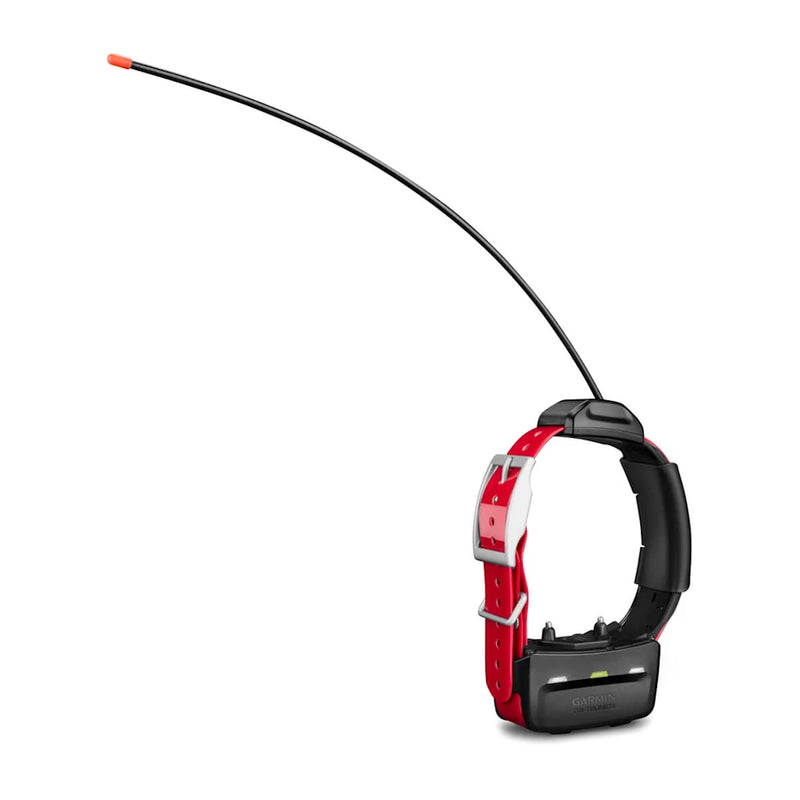 Collar GPS Garmin TT15X