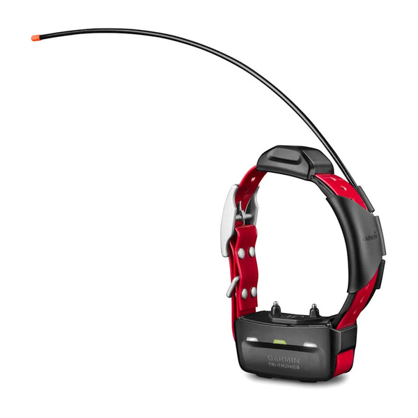 Collar GPS Garmin TT15X