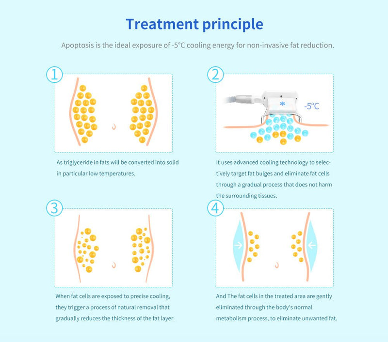 Máquina de cavitación por vacío en frío y criolipólisis 4 en 1 Shape Tactics