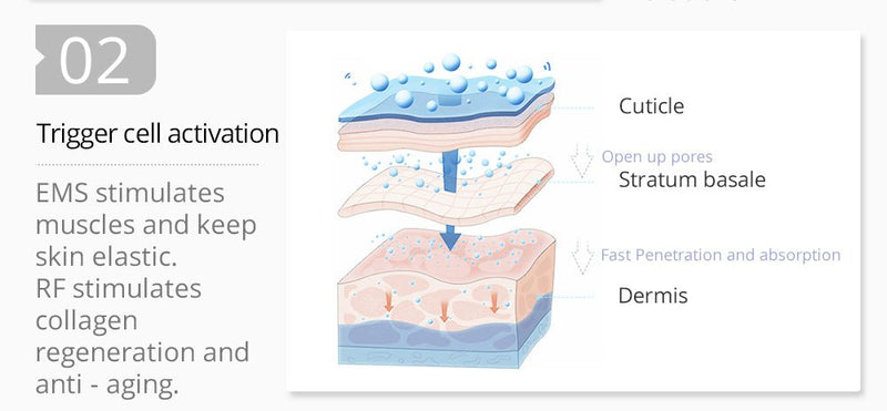 Rejuvenecimiento de la piel con mesoterapia RF EMS 2 en 1 avanzado de Shape Tactics