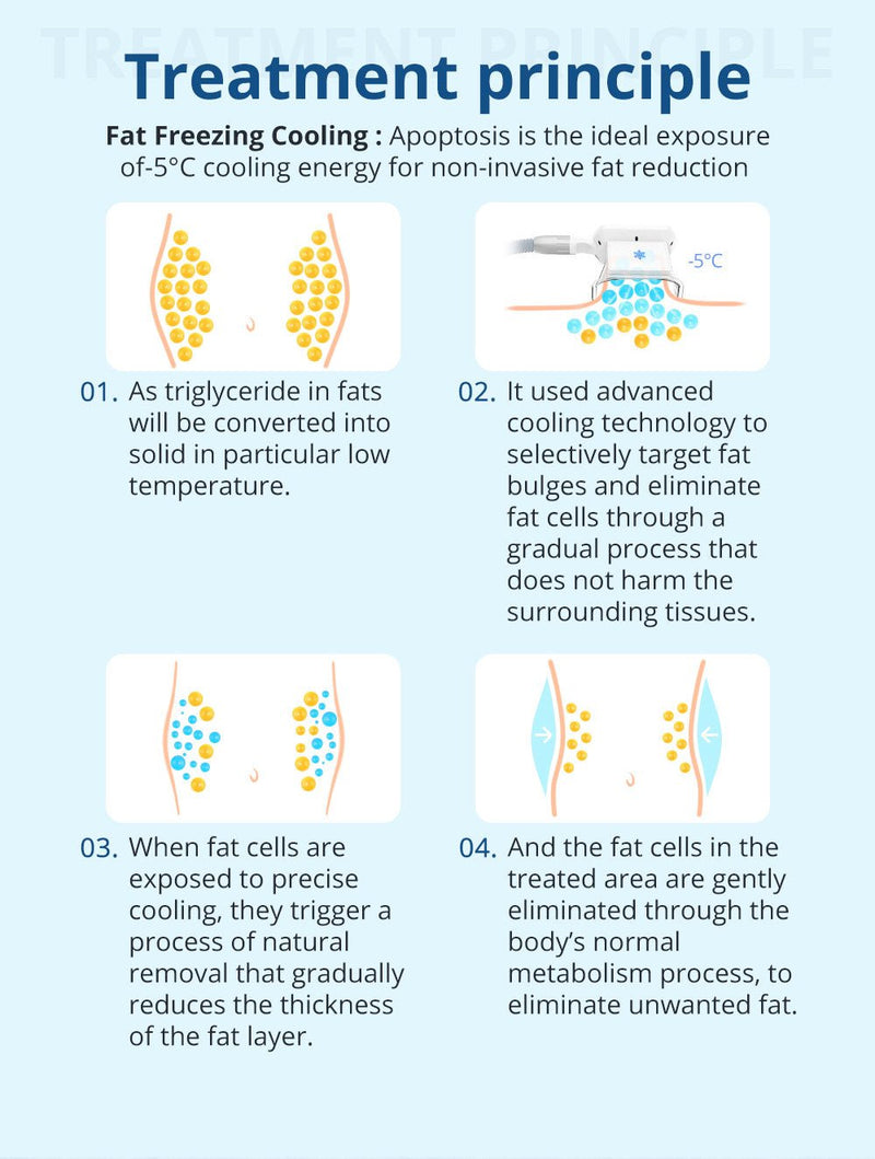 Shape Tactics: criolipólisis avanzada para esculpir grasa con 3 técnicas