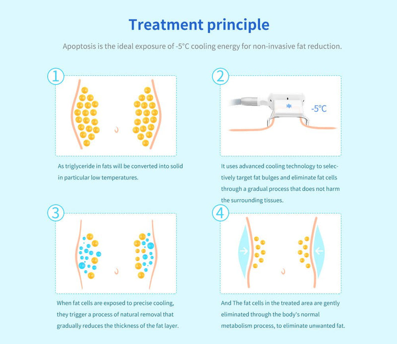 Dispositivo de adelgazamiento por vacío con congelación de grasa y criolipólisis de doble mango Shape Tactics