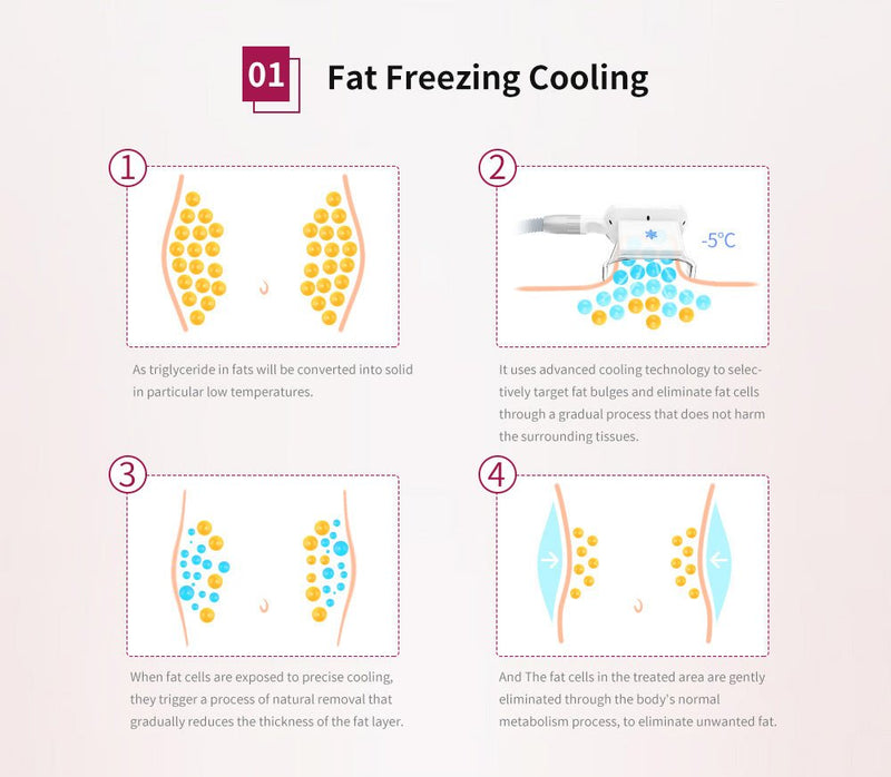 Shape Tactics - Dual Handle Fat Freezing Ultrasound Cavitation RF Machine