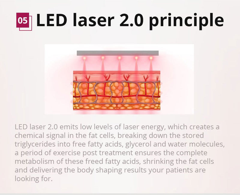 Shape Tactics - Cavitación multifuncional 6 en 1, láser Lipo de 5 mW, fotón RF